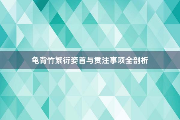 龟背竹繁衍姿首与贯注事项全剖析