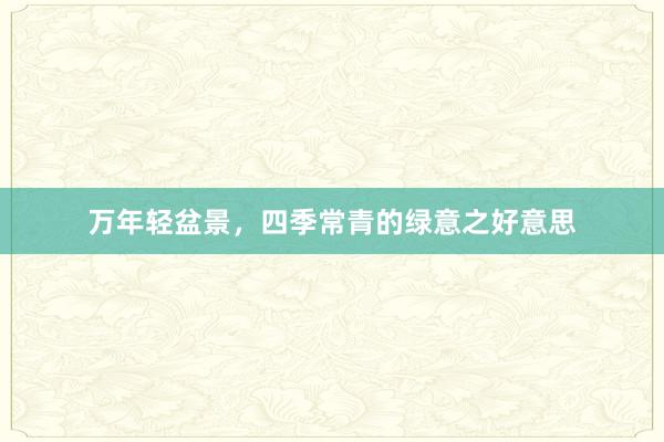 万年轻盆景，四季常青的绿意之好意思