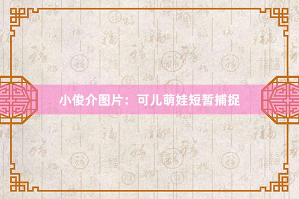 小俊介图片：可儿萌娃短暂捕捉